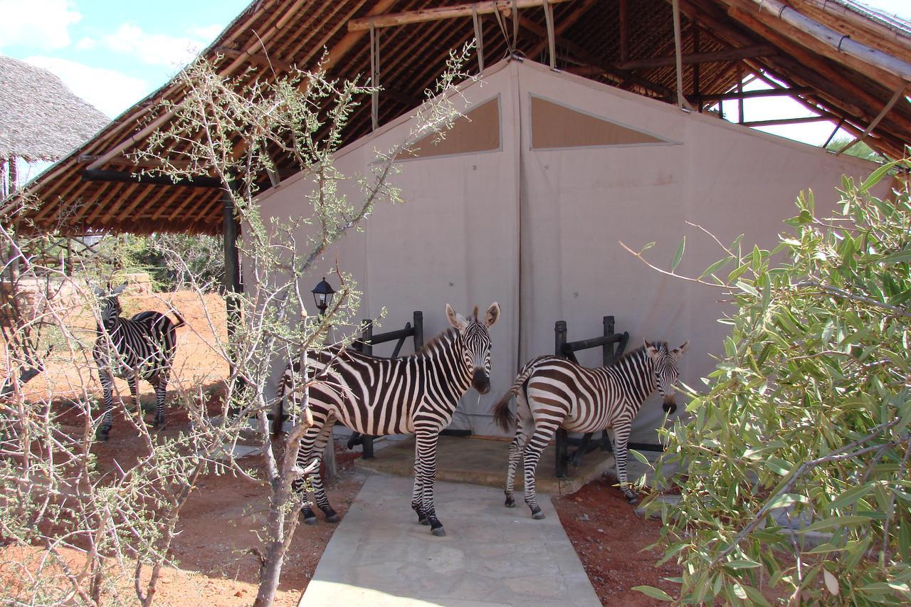 Maneaters Lodge
